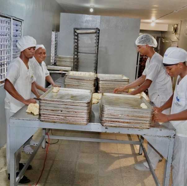 3 En Pedro Brand Durante Asistencia Tecnica 3 En Pedro Brand Durante Asistencia Tecnica