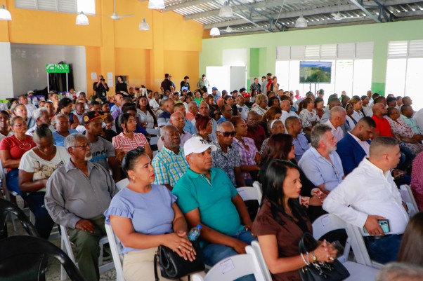 PUBLICO DE PEDRO BRAND PUBLICO DE PEDRO BRAND