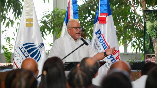 Durante Entrega Certificado Director Valora Actividad Durante Entrega Certificado Director Valora Actividad