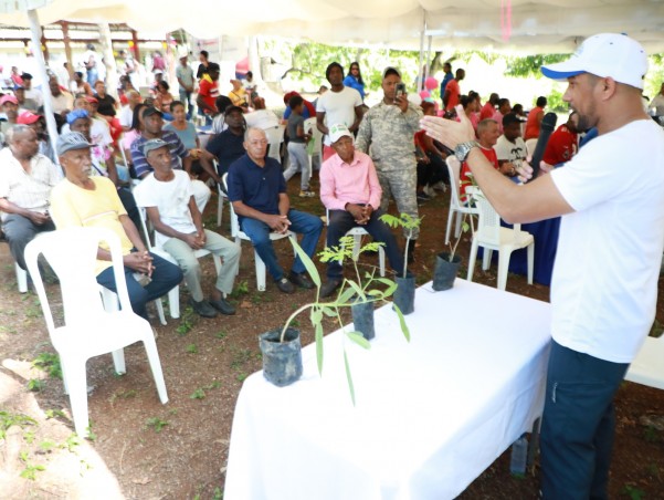 Parcelero Ennio Parcelero Ennio