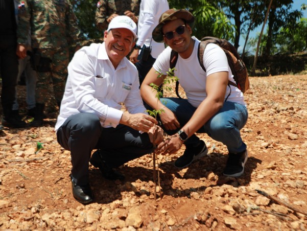 Reforestacion Reforestacion